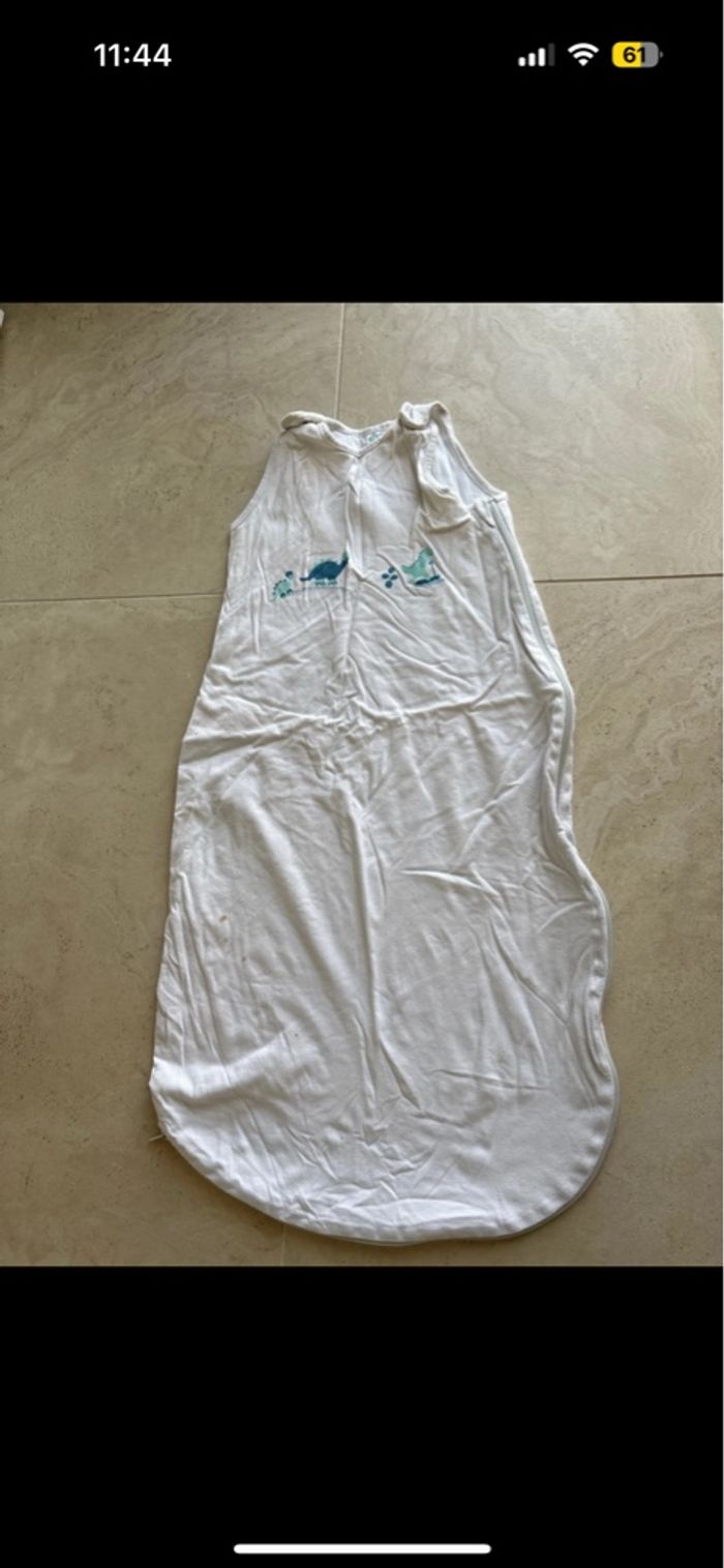 Gigoteuse - photo numéro 2