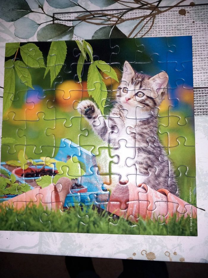 Ensemble de 3 puzzles chats ravensburger - photo numéro 3
