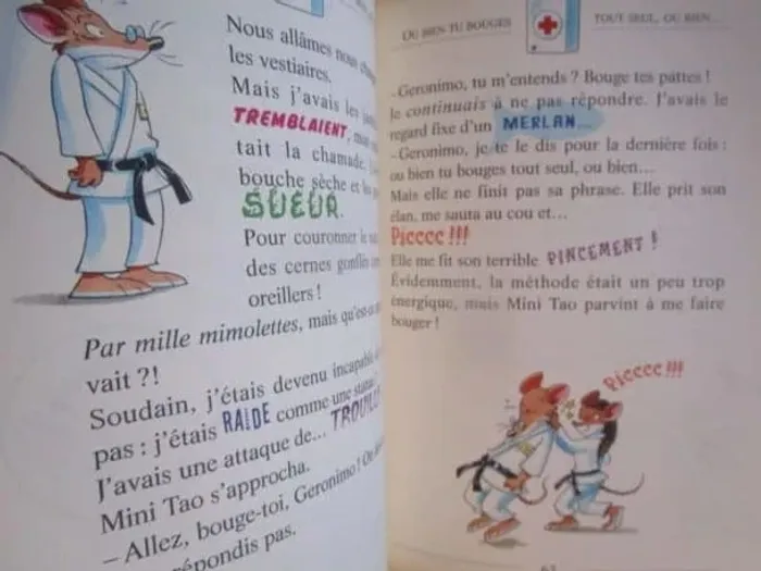 Le karaté, c'est pas pour les  rats - photo numéro 8