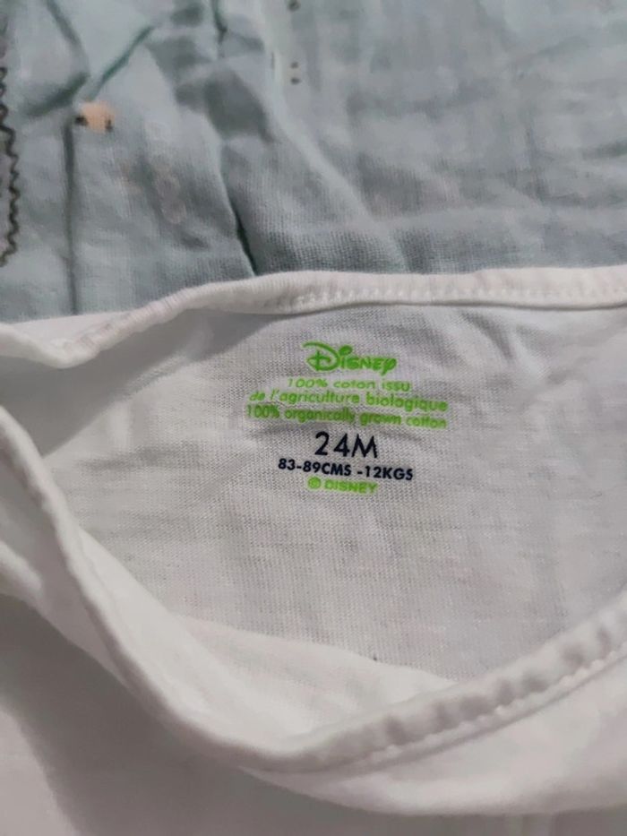 T-shirt Winnie the Pooh T.24 mois - photo numéro 2