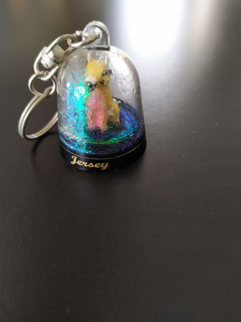 Porte clé Jersey