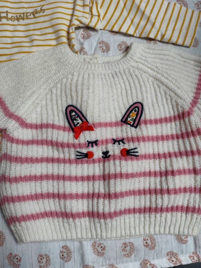 Lot de 2 pulls 9 mois - photo numéro 2