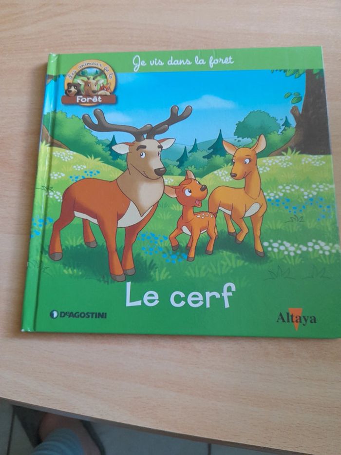 Je vis dans la forêt