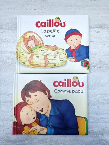 Lot livres caillou tbe