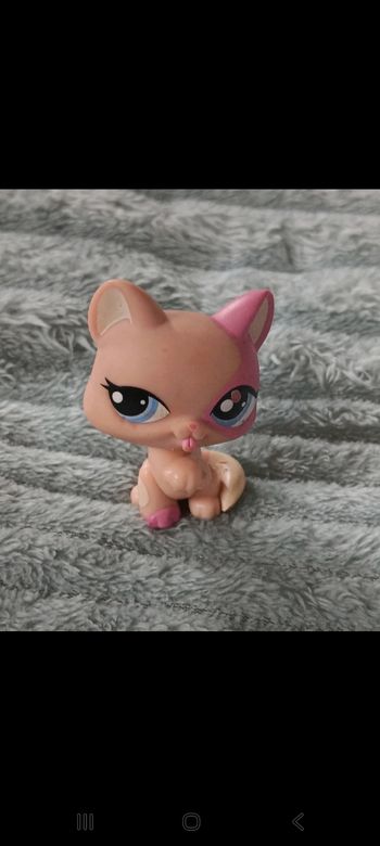 Petshop chat 1402
