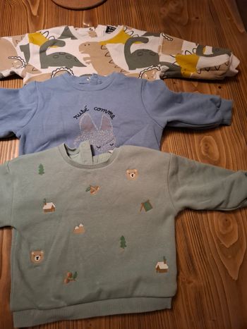 Lot de 3 sweats 18 mois TAO