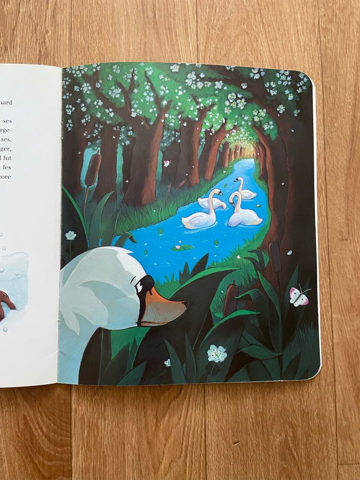 Livre le vilain petit canard - photo numéro 6