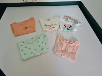 Lot 5 t-shirts manches courtes bébé fille 18 mois (Disney, Vertbaudet, Obaïbi)