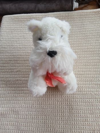 Peluche chien 🐶