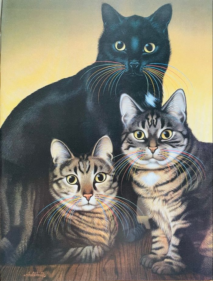 Chacun Son Chat - photo numéro 9