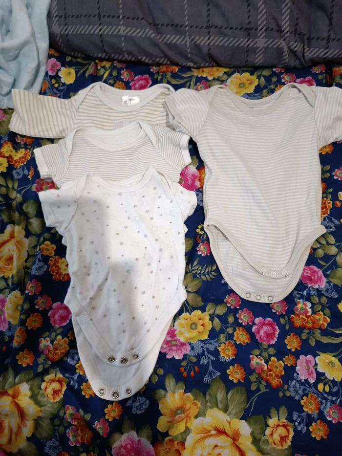 Lot de 4 body 50-56 cm