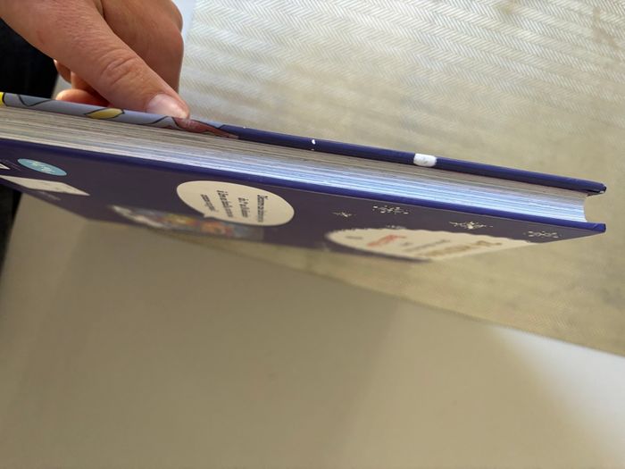 Sami et Julie 24 histoires de Noël 🎄 - photo numéro 2