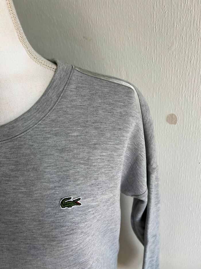 Très beau sweat-shirt Lacoste 40 - photo numéro 2