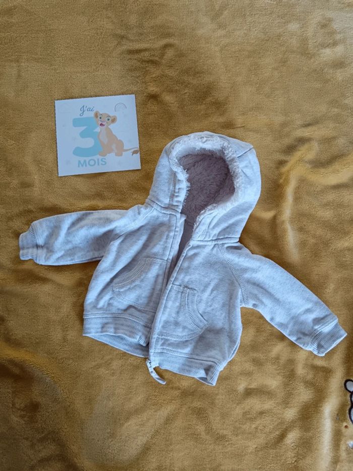 Veste a capuche