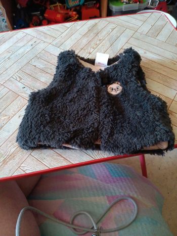 Gilet poilus 6 mois marie le chat