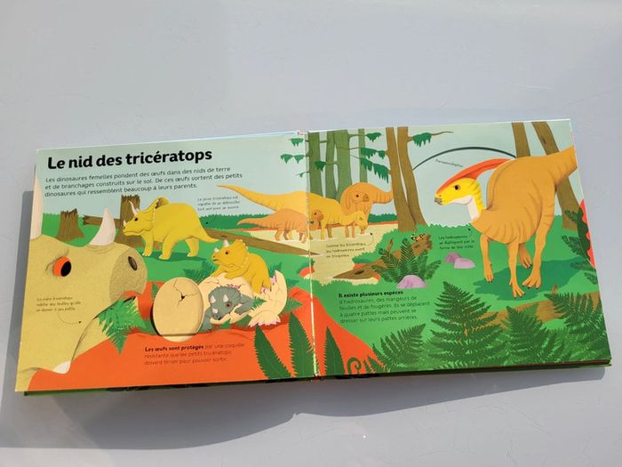 Livre animé à flaps : Le Petit Monde animé Gallimard Jeunesse : La Vie des Dinosaures (63) - photo numéro 7