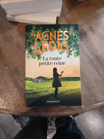 Livre : La toute petite reine