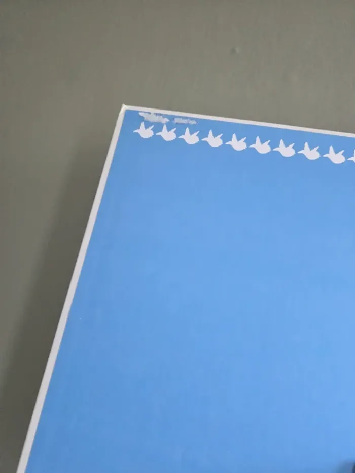 🐬 Livre grand format 🐬 - photo numéro 3