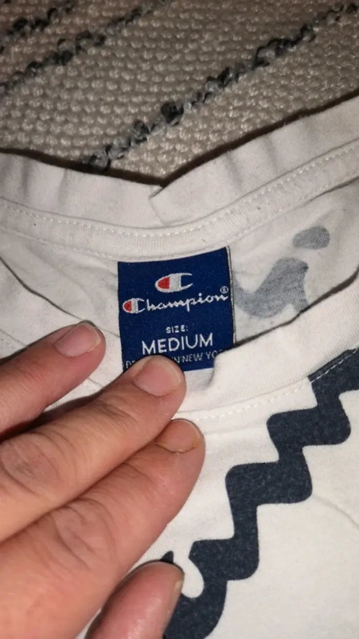 Tee-shirt champion - photo numéro 3