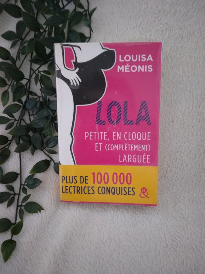 🌸Livre romance Lola petite, en cloque et complètement larguée🌸