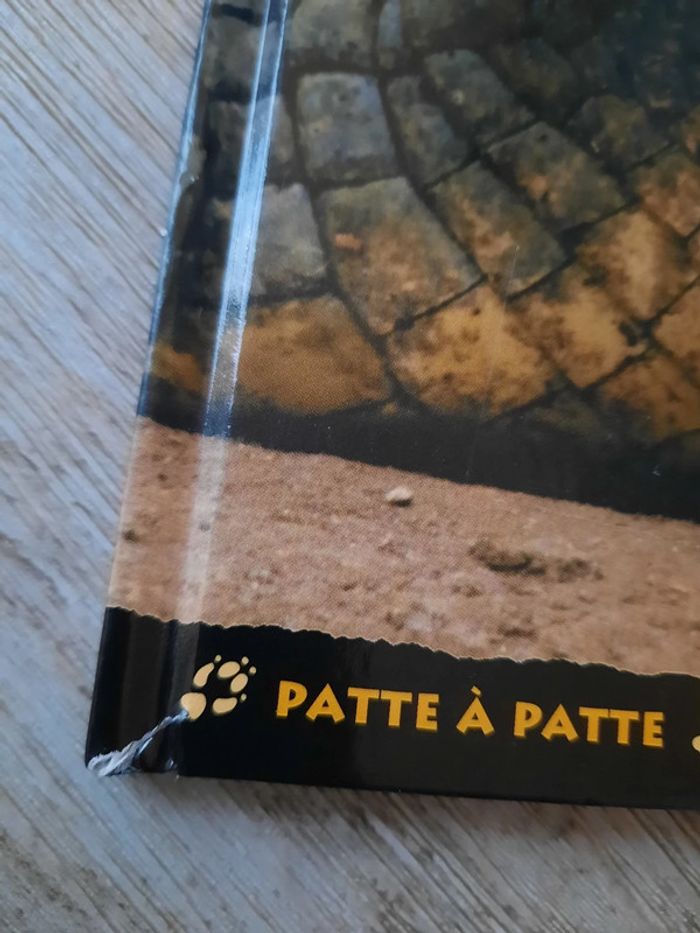 Crocodile - photo numéro 3