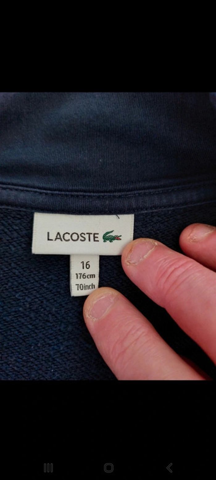 Sweat Lacoste taille 16 ans (176 cm) - photo numéro 4