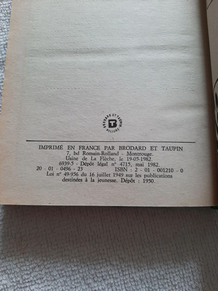 Bari chien-loup - photo numéro 3