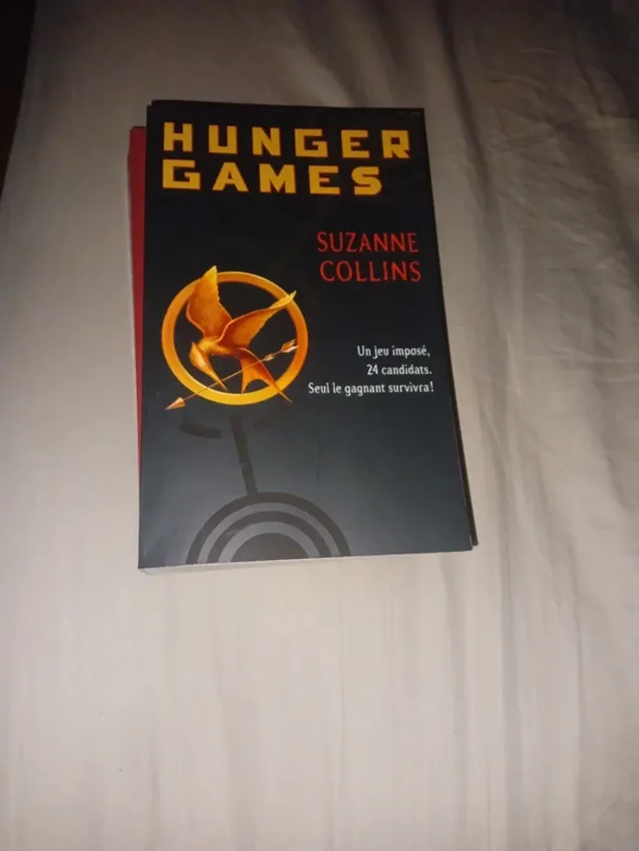 Hunger games grands formats