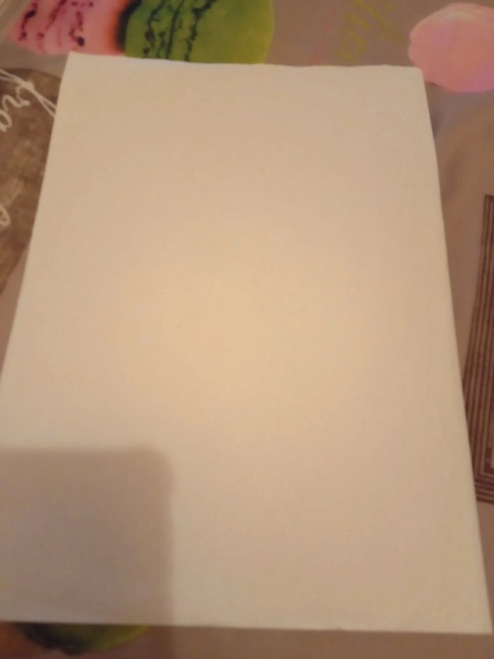 1 feuille A4 Diddl - photo numéro 4