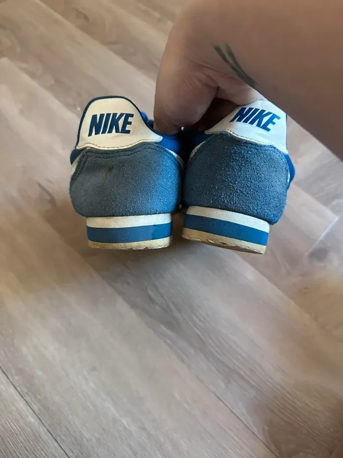 Cortez bleu - photo numéro 5