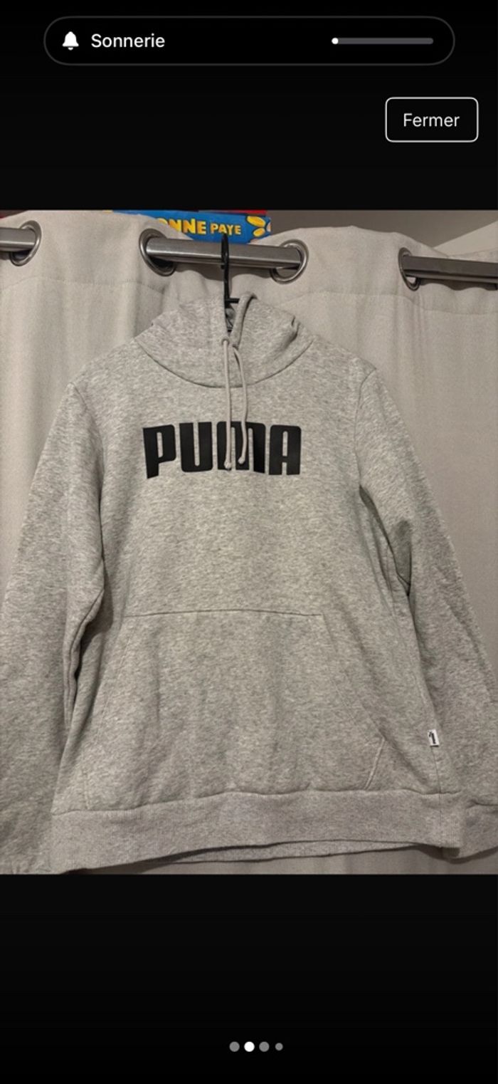 Pull puma