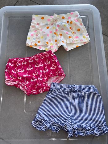 Lot shorts