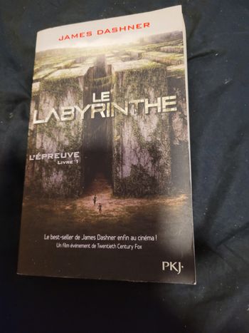 Le labyrinthe James Dashner