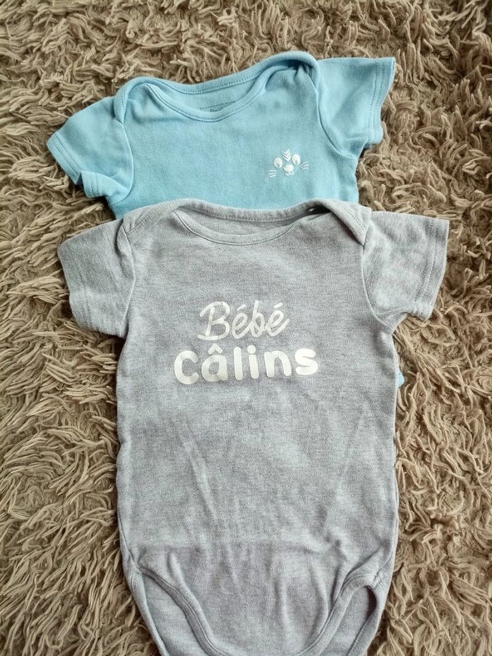 Lot 2 bodies