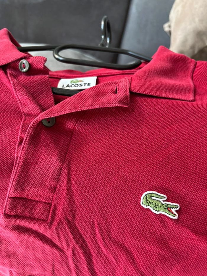 Polo Lacoste à manches courtes authentique - photo numéro 3