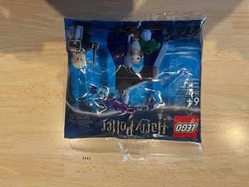LEGO 30677 Draco dans la Forêt Interdite – Neuf, Scellé Harry Potter