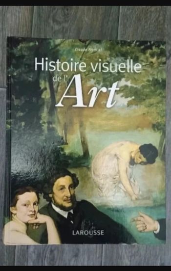 Livre histoire visuelle de l'art claude Frontisi Larousse Très bon état