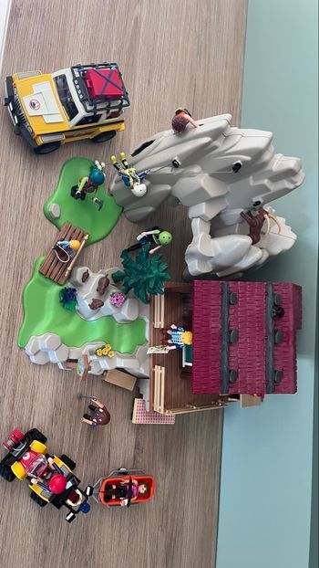 Lot Playmobil montagne 