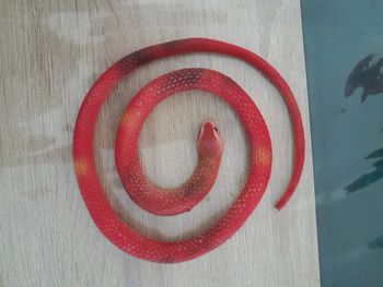 serpent rouge en plastique mou