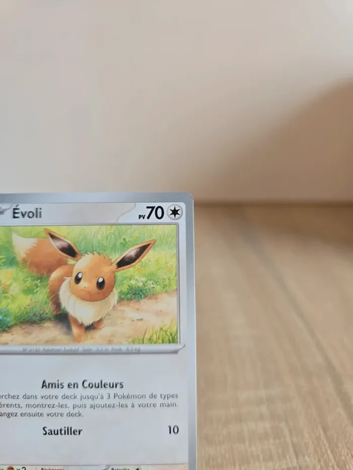 Evoli 133/165 - photo numéro 3