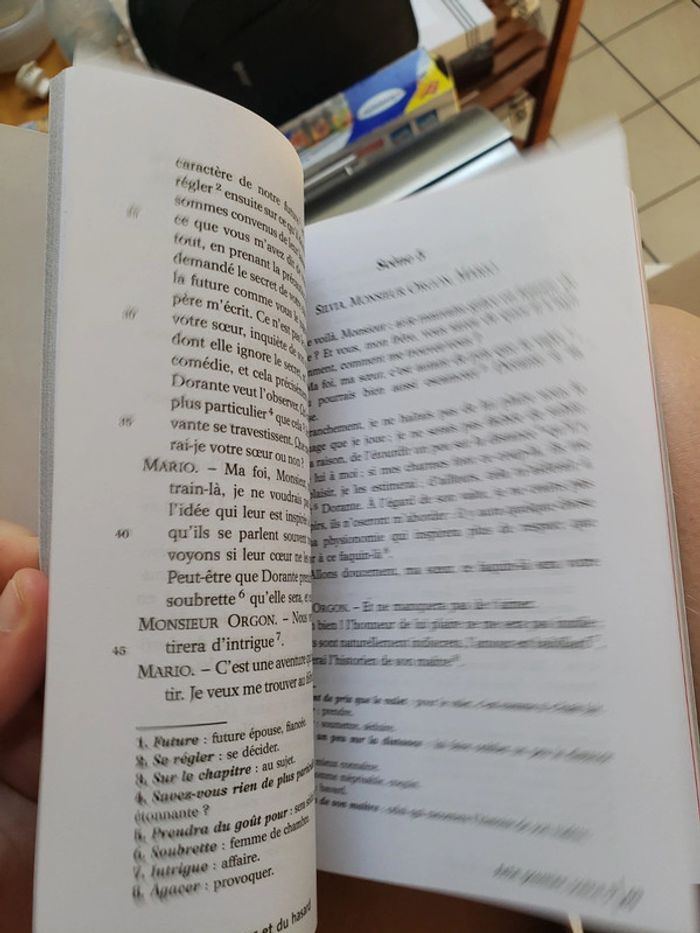 Piece de théâtre le jeu de l'amour et du hasard - photo numéro 3