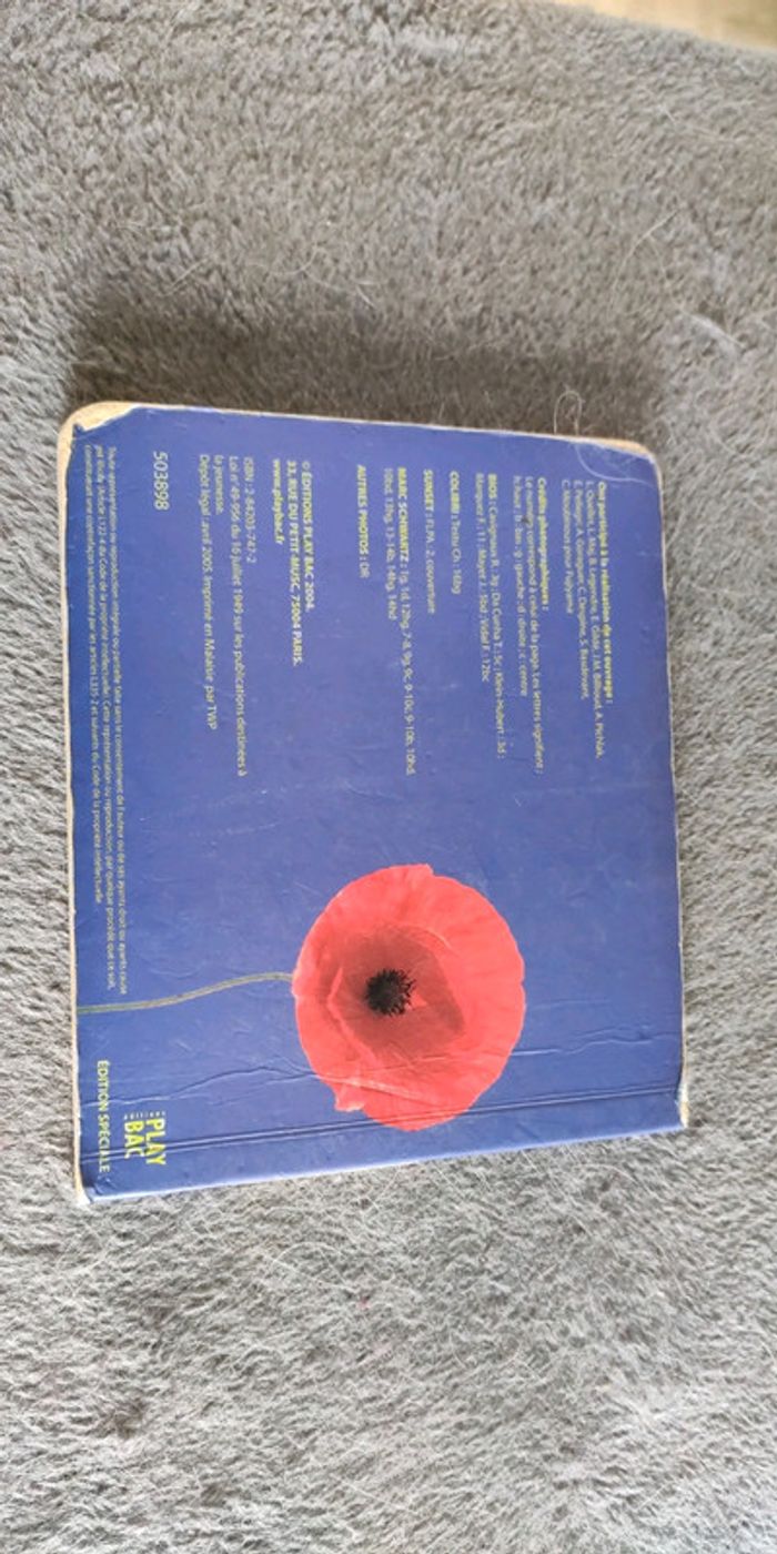 Livre des couleurs - photo numéro 4