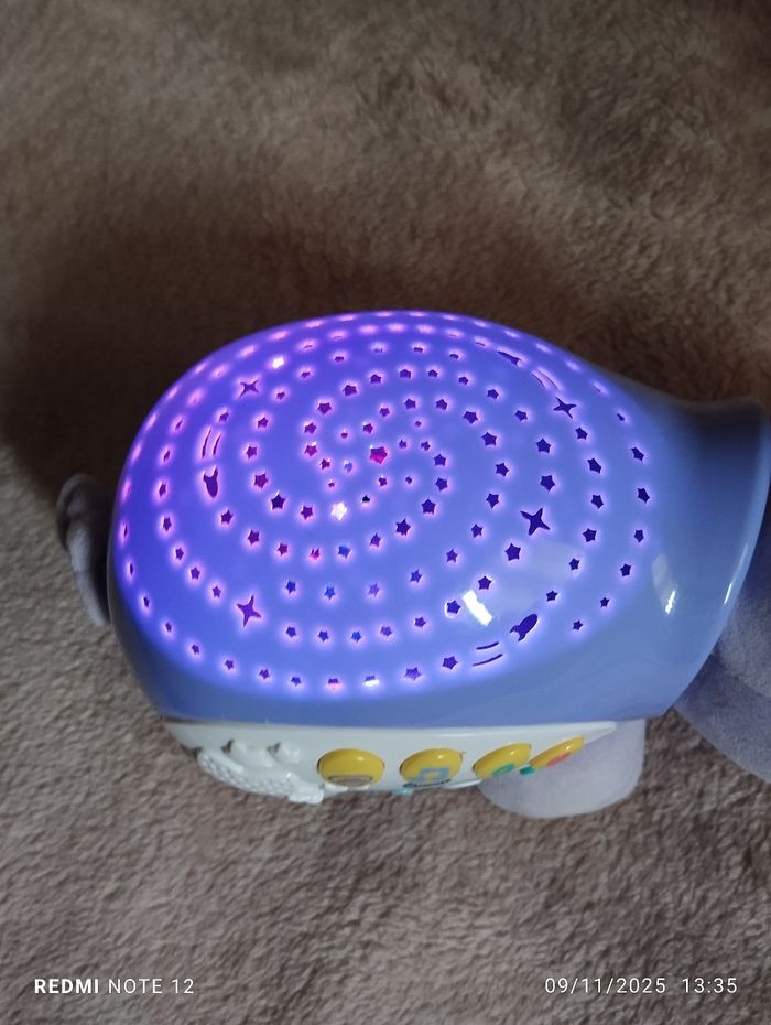 Hippopotame musical - photo numéro 2