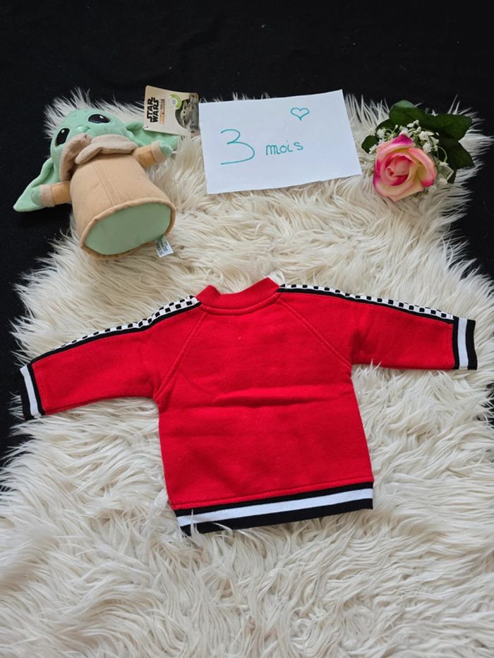 Veste gilet voiture " F1" - photo numéro 2