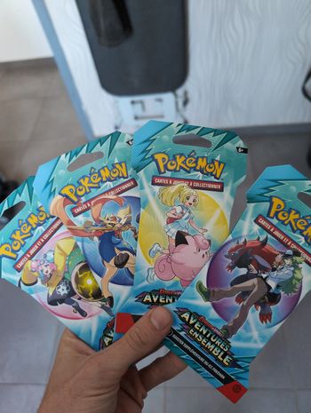 Artset ev9 - pokémon aventures ensemble