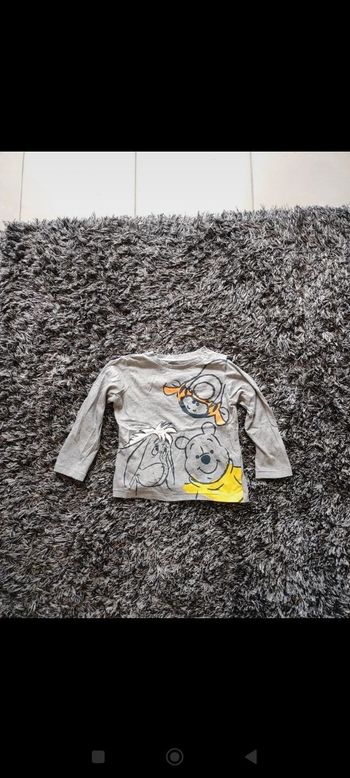 Tee shirt manches longues Winnie