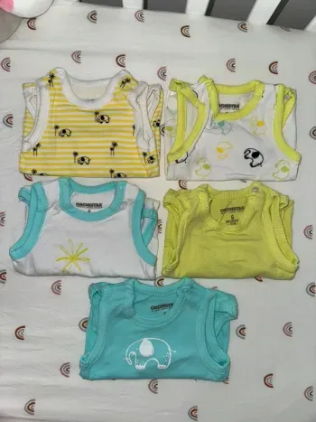 Lot body x5 éléphant
