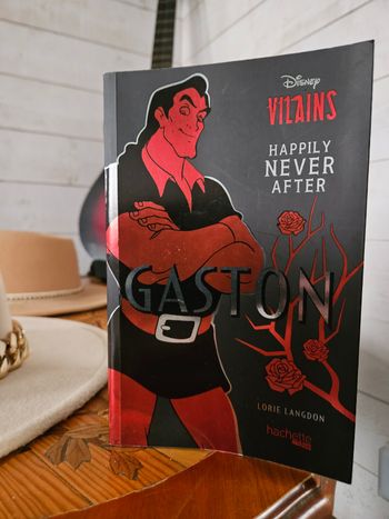 Livre disney méchant