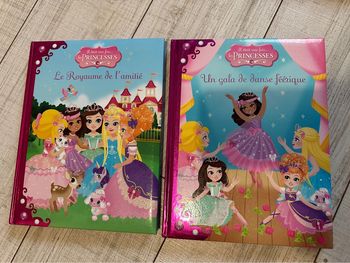 Lot 2 livres “Il était une fois les Princesses”