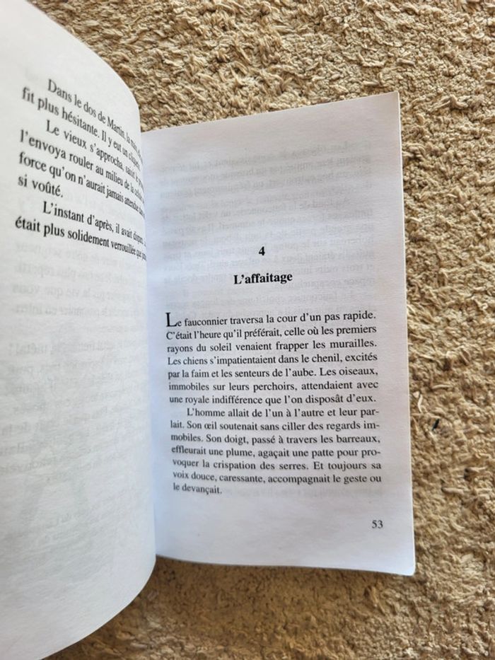 Roman jeunesse Le faucon déniché de Jean-Côme Noguès - photo numéro 6